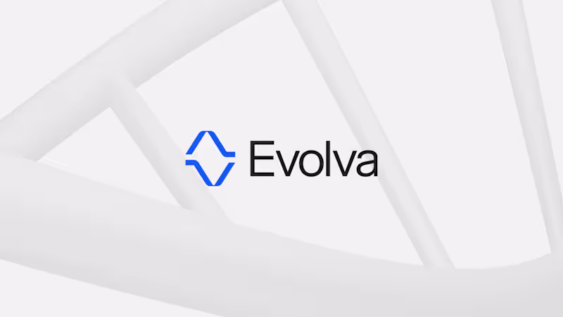 Cover image for Evolva branding project