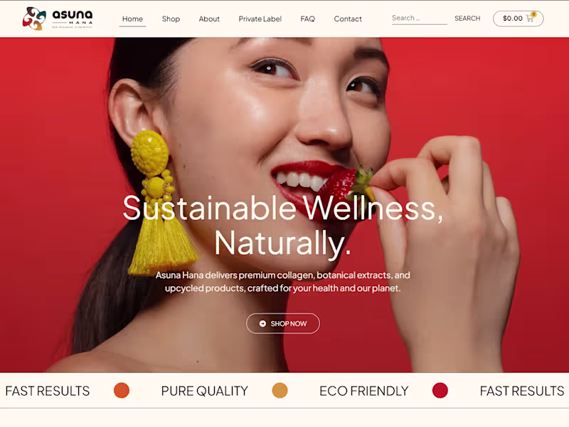 Cover image for Website Design 