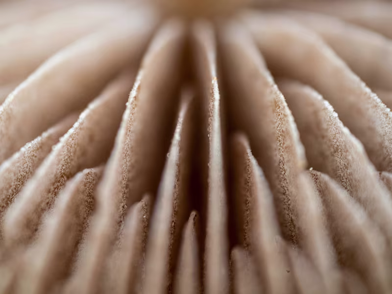 Cover image for Crafting Authentic Brand Narrative for Business Owner