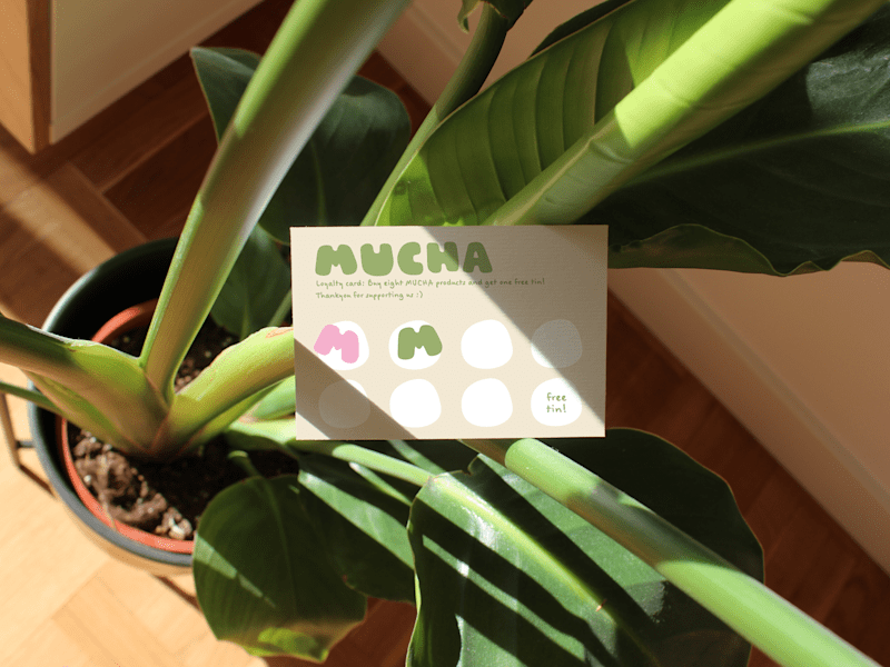 Cover image for Mucha Matcha | Brand identity