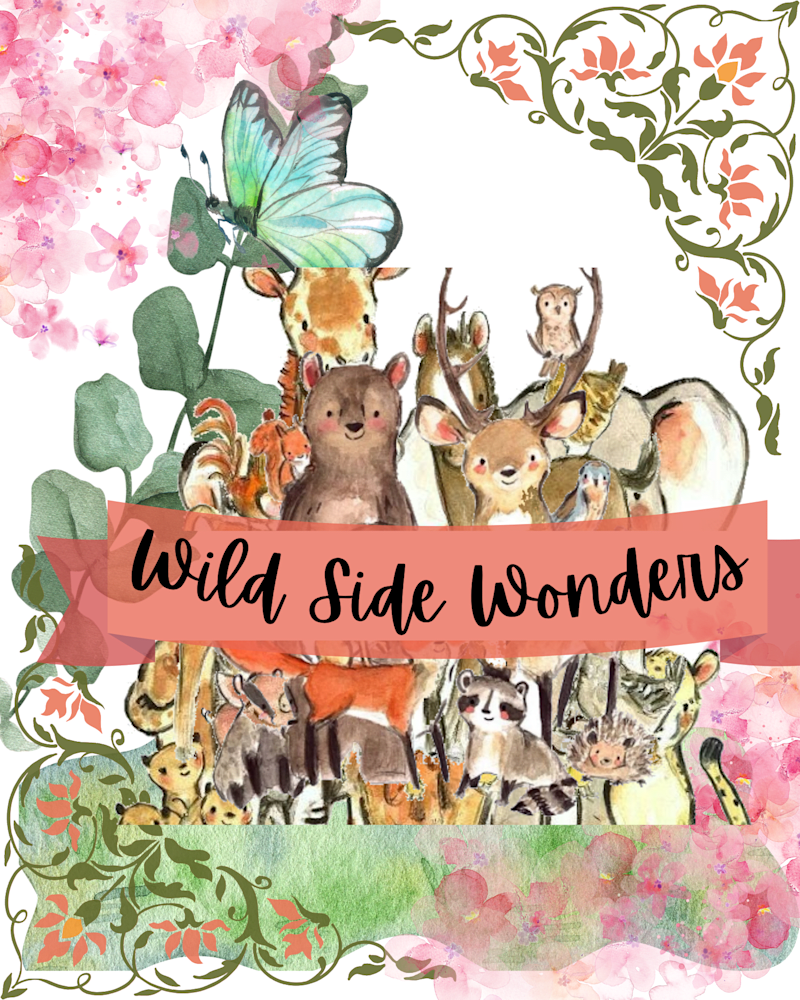Cover image for Wild Side Wonders 