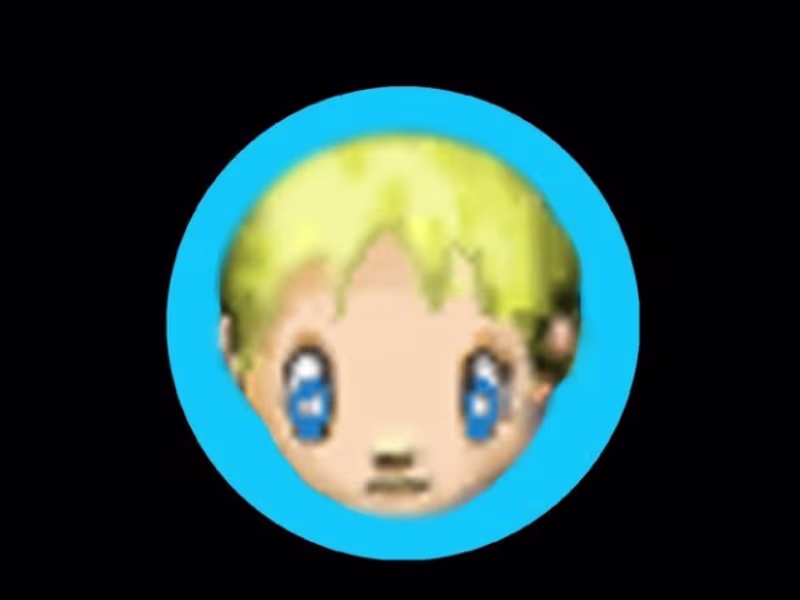 Cover image for Capstone Project