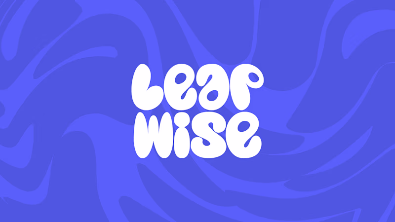 Cover image for LeapWise brand identity