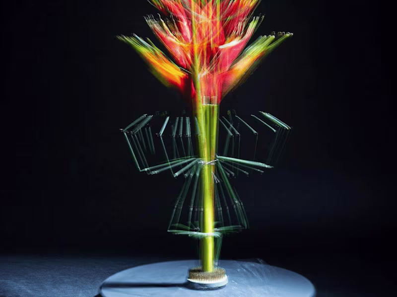 Cover image for An Special Eye for Social Content