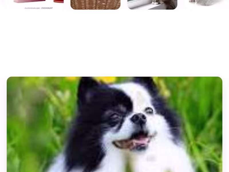 Cover image for Smart, Advanced, Secure, Intelligent WordPress Landing Page