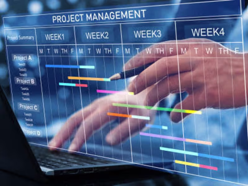 Cover image for Strategic Project Leadership