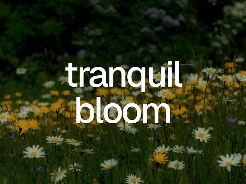 Cover image for Tranquil Bloom — Immersive Audio & GSAP Animations