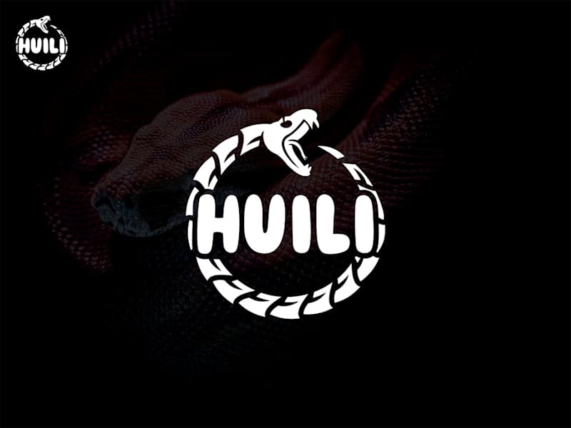 Cover image for Brand Identity Design for Huili