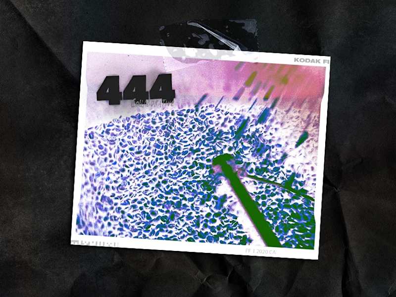 Cover image for 444 Collaborative Branding