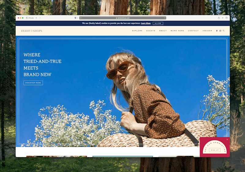 Cover image for Custom WordPress theme for Derby Street Shops