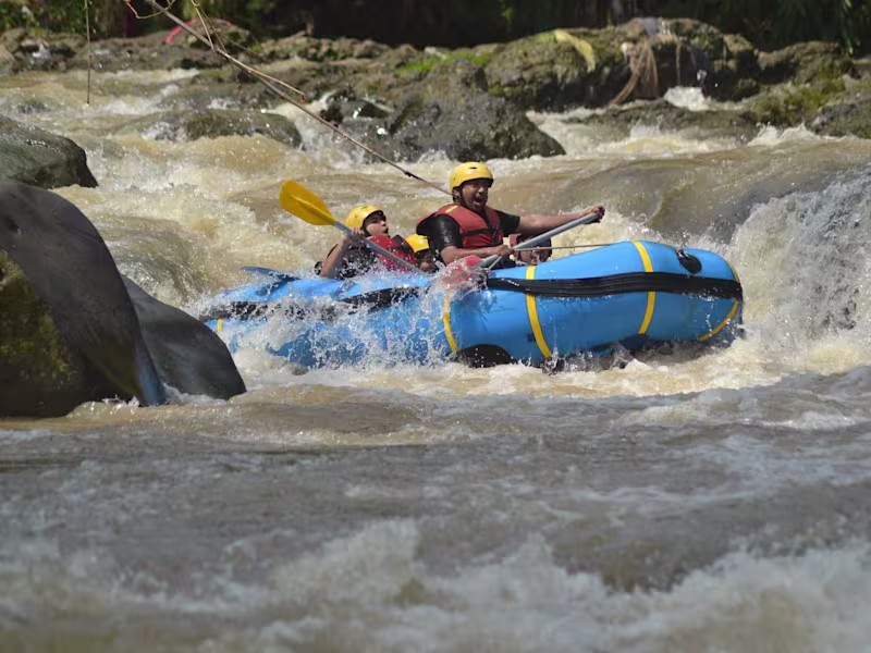 Cover image for Backend Engineer - Enterprise Application