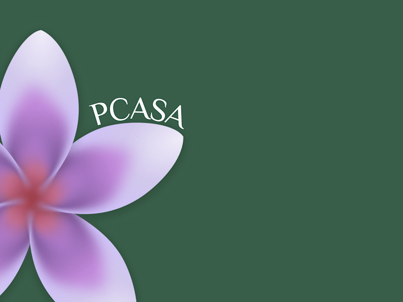 Cover image for Pcasa Logo Redesign