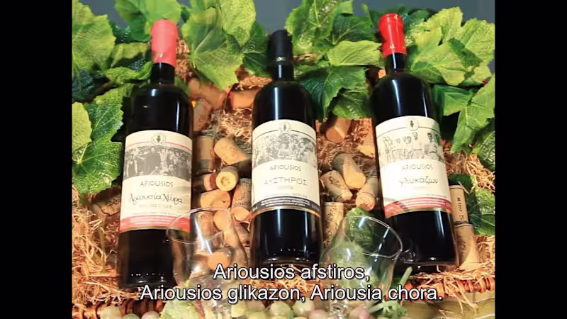 Cover image for FR-ENG-GR Subtitles of Greek wine spot