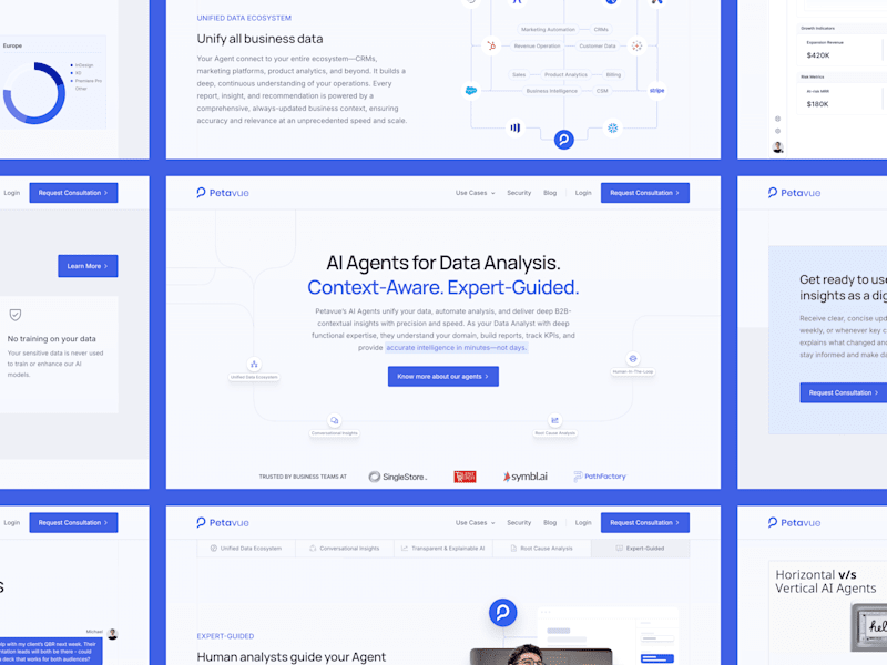Cover image for Petavue • Transforming AI-Driven Data Analytics