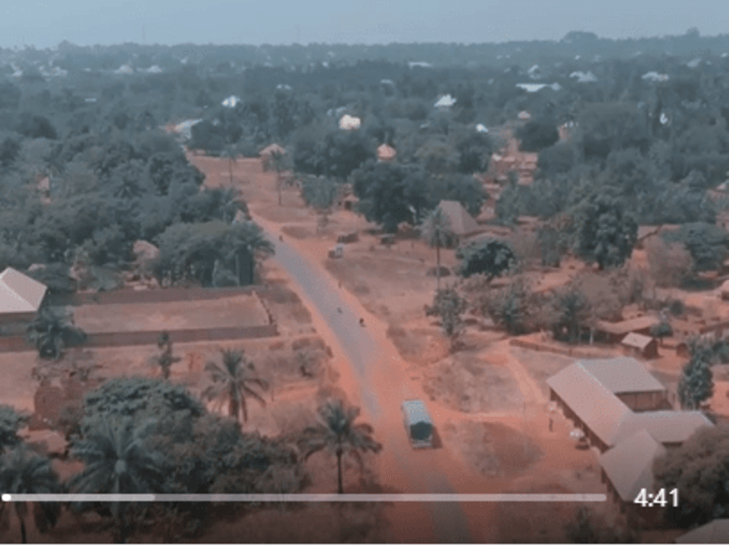 Cover image for Nwafor Morayo on LinkedIn: #agriculture #future #sustainability…