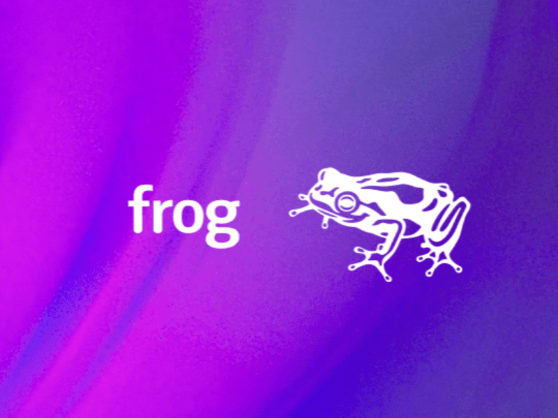 Cover image for frog design — Mariam Khan