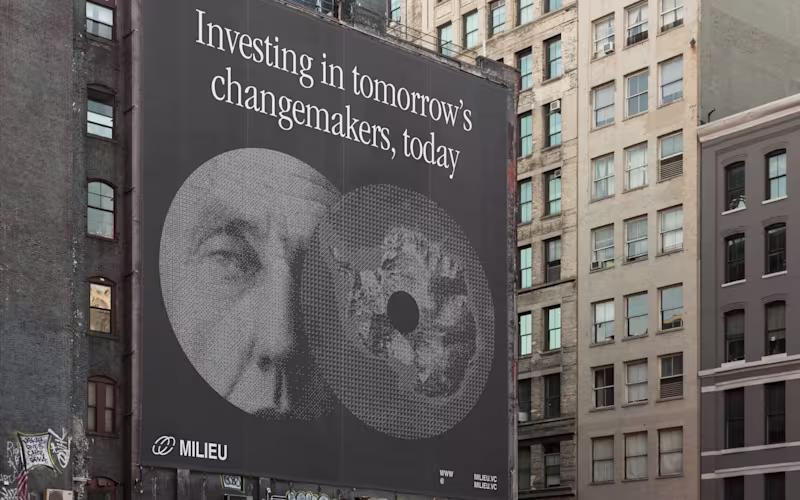 Cover image for Milieu: Brand and Website