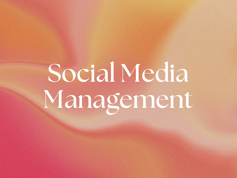 Cover image for Social Media Management