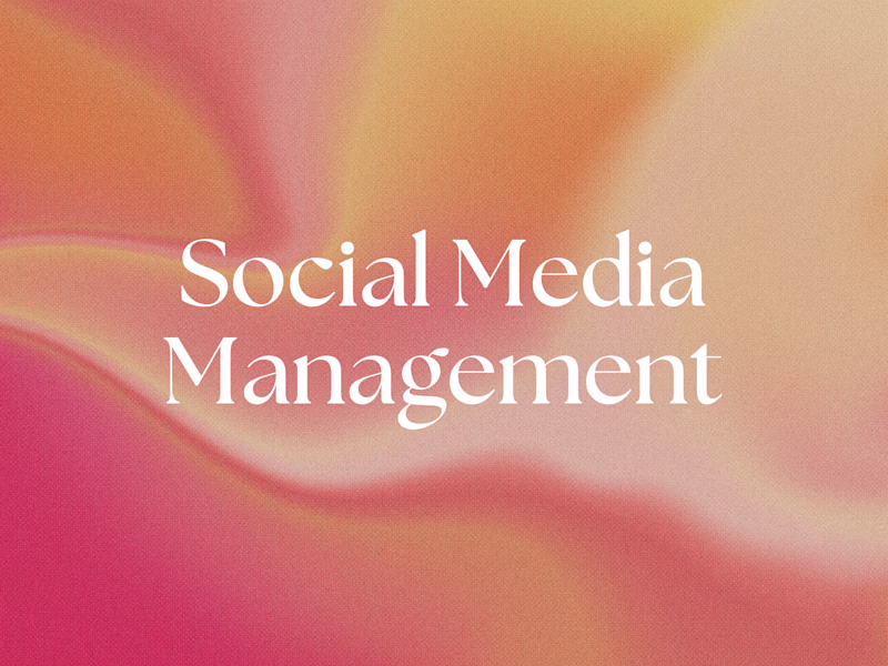 Cover image for Social Media Management