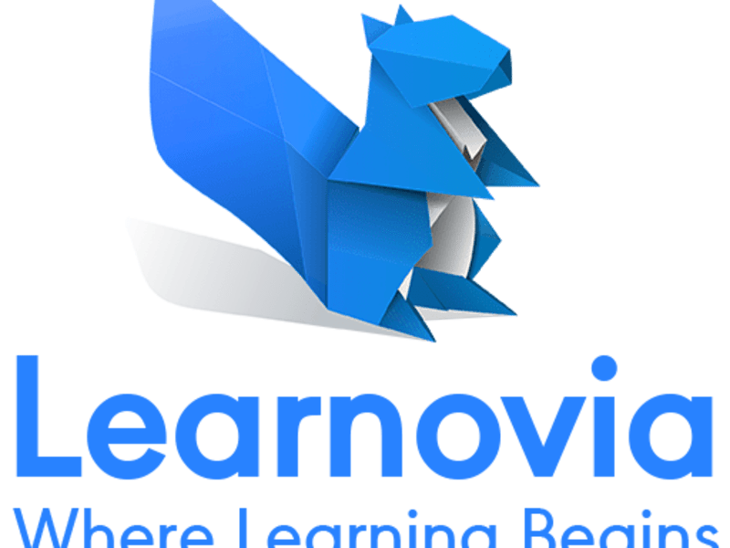 Cover image for Learnovia