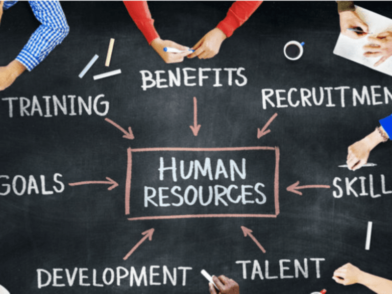 Cover image for Certified Human Resources Practitioner