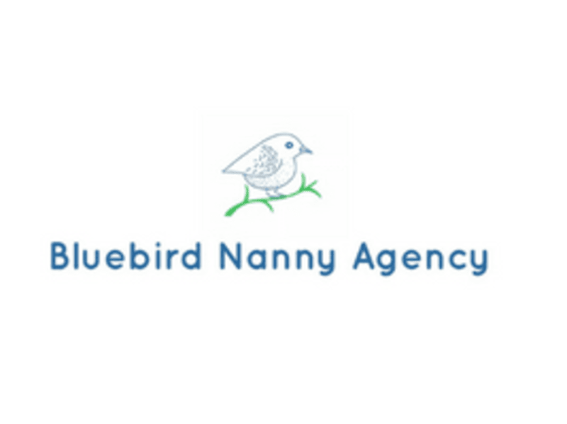 Cover image for Bluebird Nanny Agency