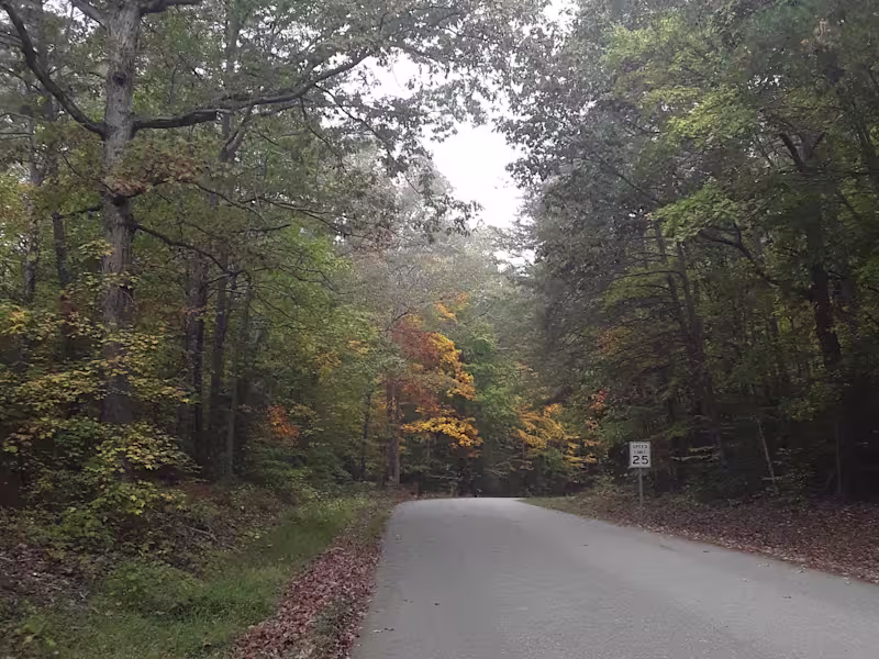 Cover image for Article Research And Writing