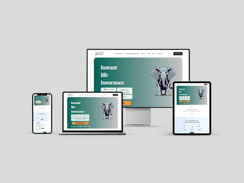 Cover image for EliLife - Wix Website Design