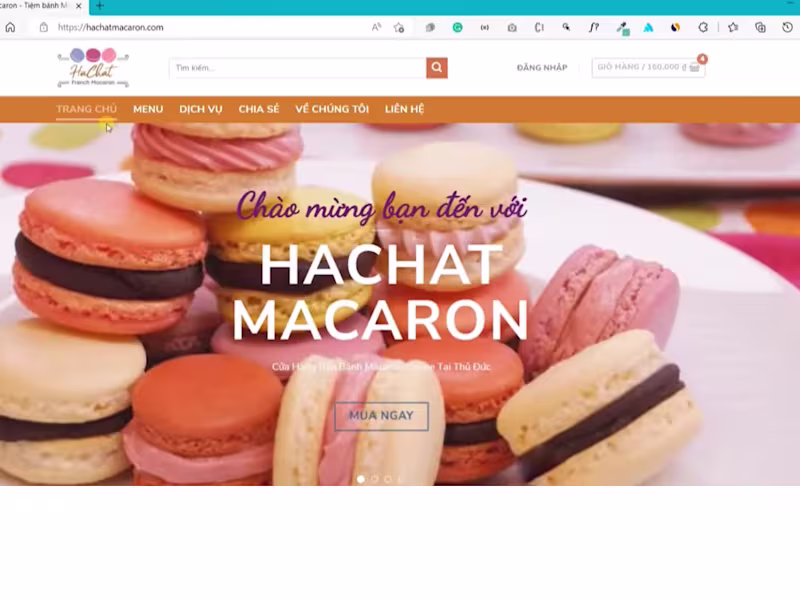 Cover image for WordPress Developer | Woocommerce | SEO | Elementor |Logo Design