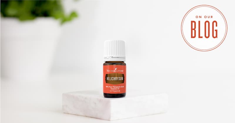 Cover image for 8 things you didn’t know about Helichrysum Essential Oil