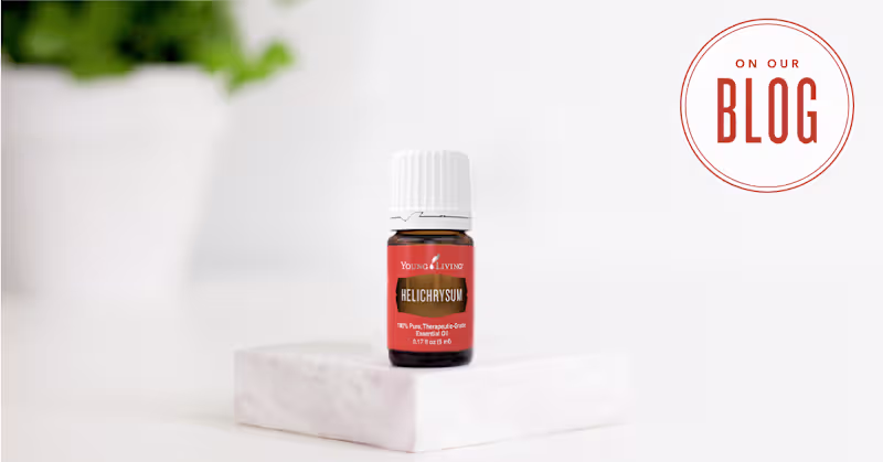 Cover image for 8 things you didn’t know about Helichrysum Essential Oil