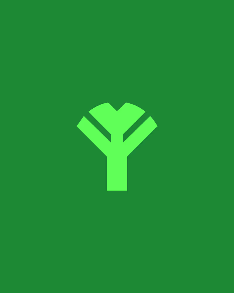 Cover image for Anara