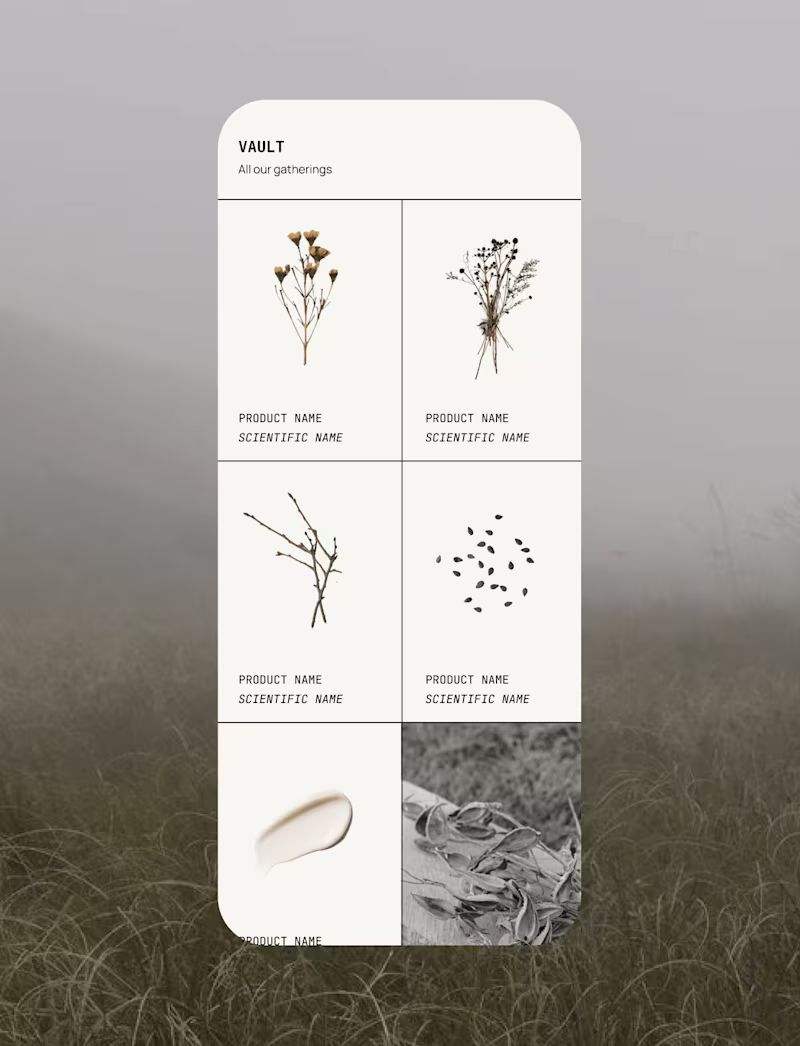 Cover image for The Fen