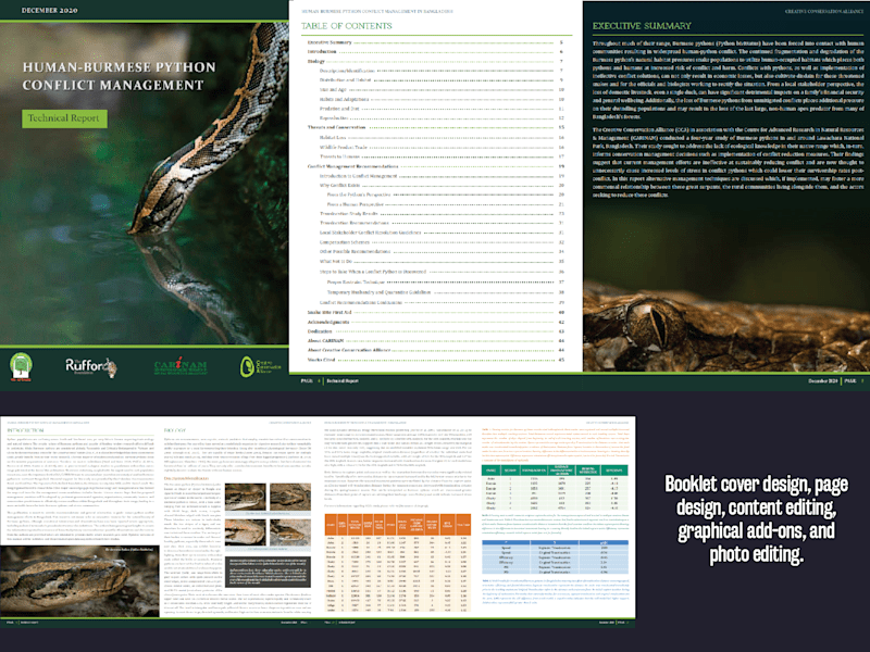 Cover image for Technical Report Booklet Design for NGO