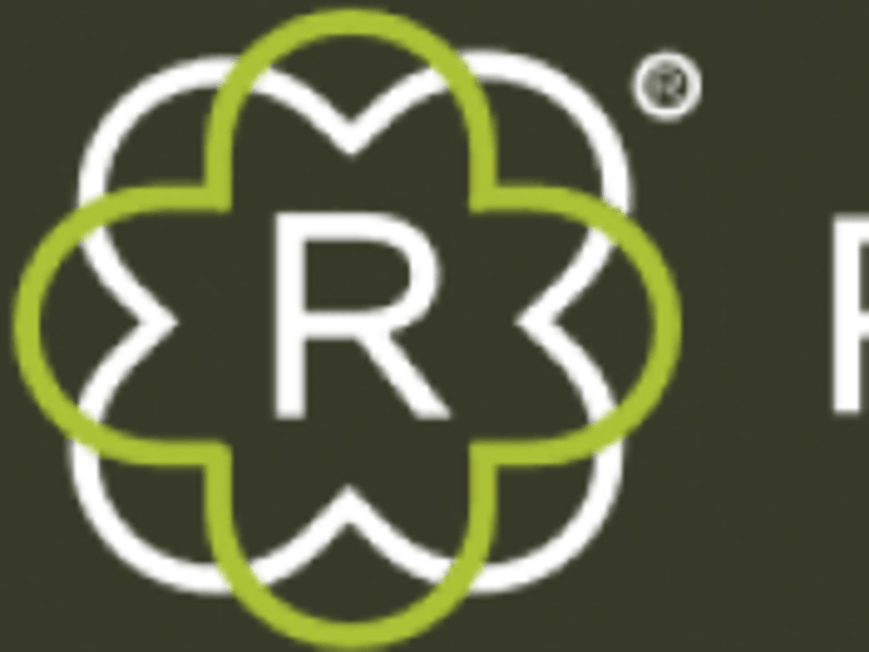 Cover image for Created a website for Revilo-Automotive