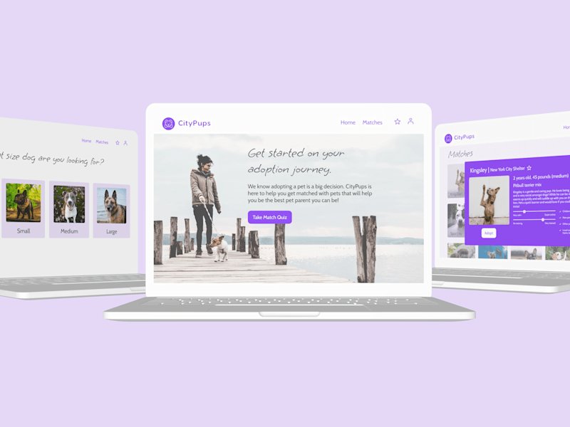 Cover image for CityPups Design Sprint 