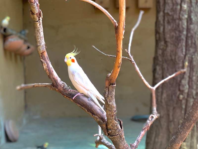 Cover image for nature pictures