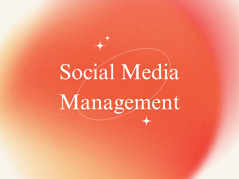 Cover image for Social Media Management 