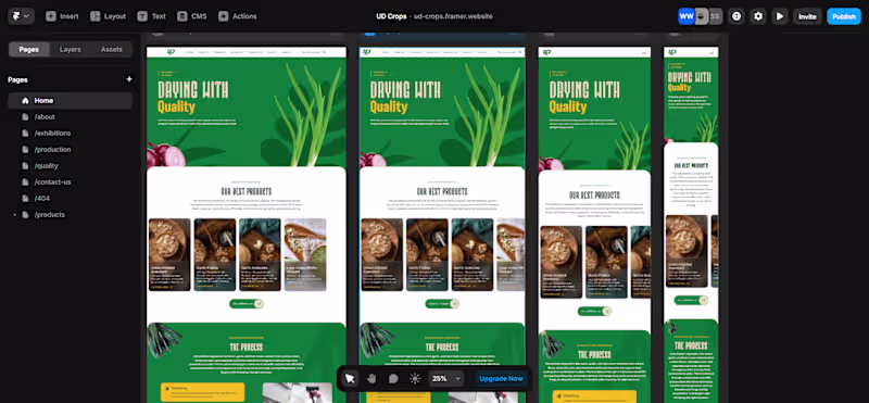 Cover image for I will build a professional framer website