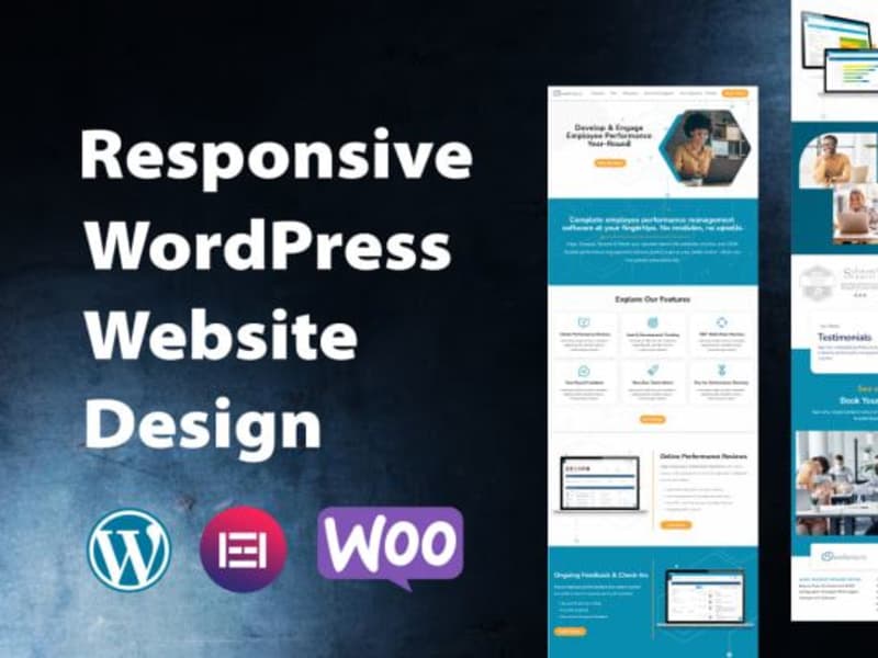 Cover image for website designer for a wordpress website or web design
