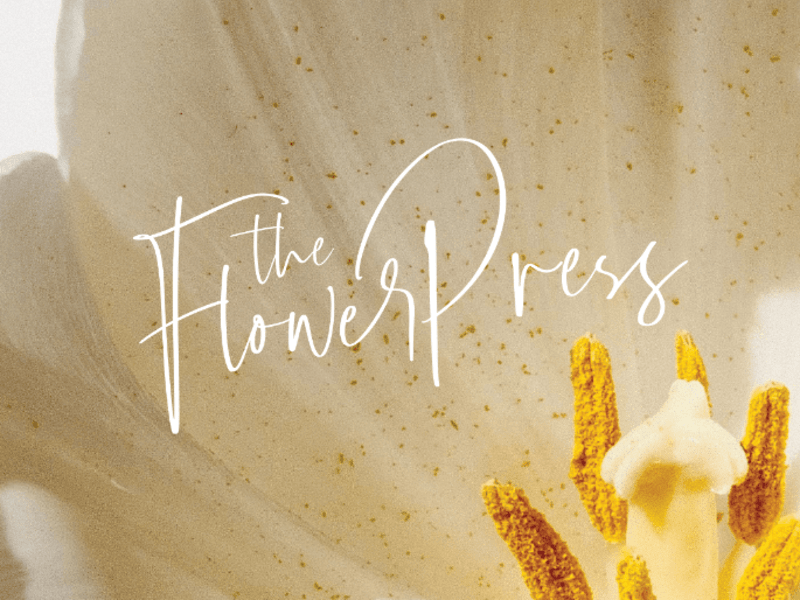 Cover image for The Flower Press - Branding & Website