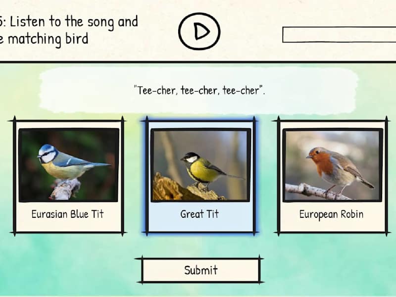 Cover image for Custom Learning Game