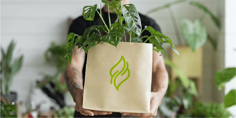 Cover image for NATURA | Branding & Identity