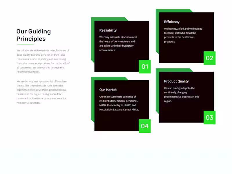 Cover image for Pharmaceutical distributor website