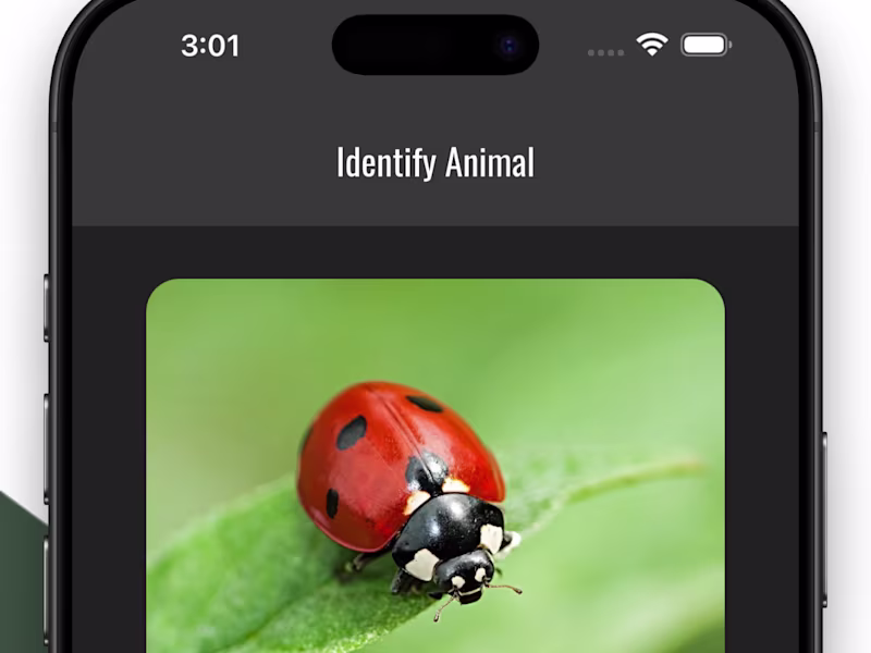 Cover image for Expert Flutter Dev – Scalable, Beautiful & Production-Ready Apps