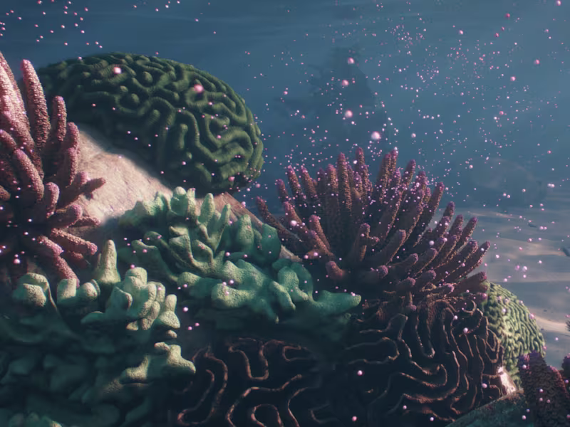 Cover image for Create 3D Animation