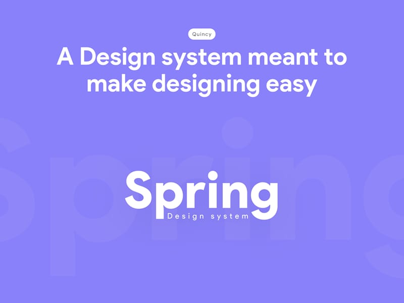 Cover image for Design System Development for Enhanced Efficiency