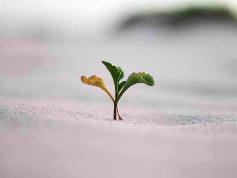 Cover image for Email Campaign Optimization