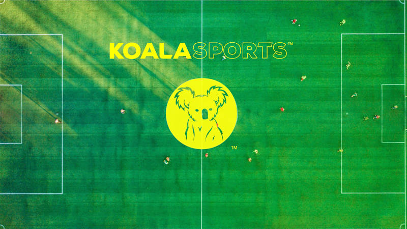 Cover image for Branding + Website for Sports League 
