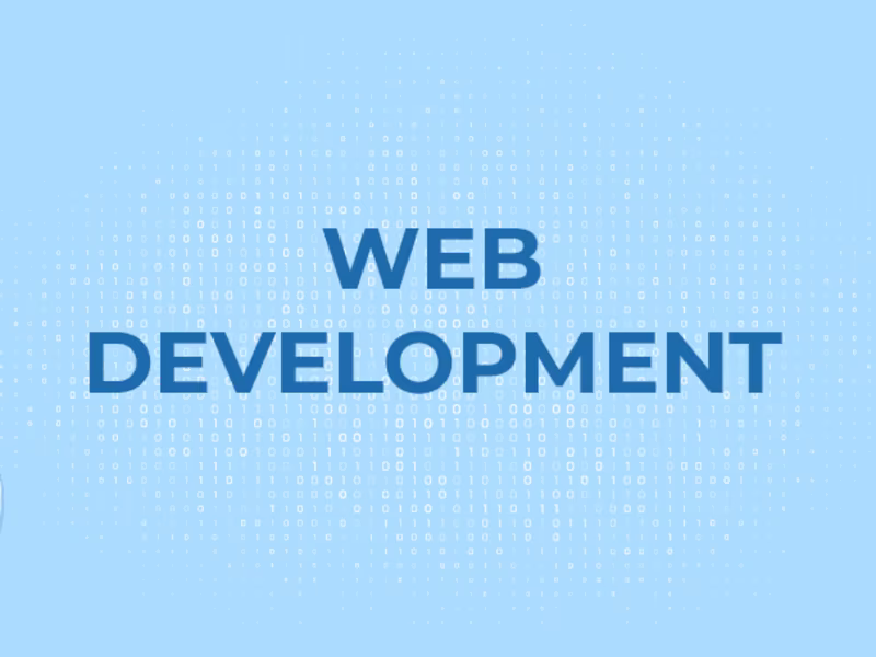 Cover image for Custom Web Development